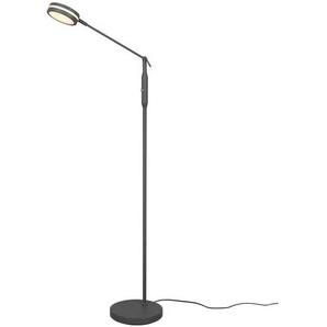 Trio Stehleuchte | grau | 23 cm | 133 cm | cm 23,0 |