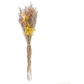 Trockenblumen Orange und Gelb 65 cm Getrockneter Blumenstrauß Getrocknete Blumen Dekoration