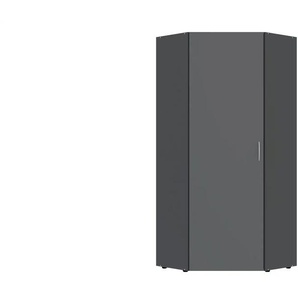 Tür für Eckschranklösung Multischrank-System | grau | 95 cm | 185 cm | cm 95,0 |