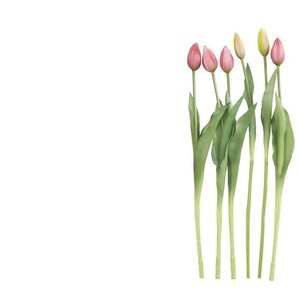 Tulpenbund 7-fach - rosa/pink - Kunststoff,PVC - 44 cm | Möbel Kraft