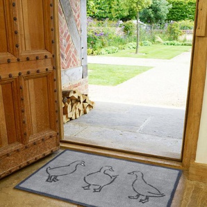 Turtle Mat Fußmatte Ducks, rechteckig, Höhe: 9 mm