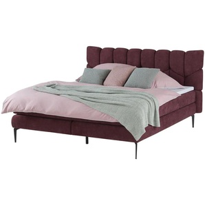 Twist Boxspringbett Bari - rot - Materialmix - 195 cm - 110 cm | Möbel Kraft