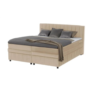 uno Boxbett mit Bettkasten Bruno ¦ beige ¦ Maße (cm): B: 146 H: 106