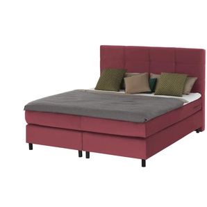 uno Boxspringbett  Wind ¦ rot ¦ Maße (cm): B: 160 H: 152