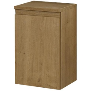 Unterschrank  b.straight ¦ holzfarben ¦ Maße (cm): B: 30 H: 50,2 T: 30.0