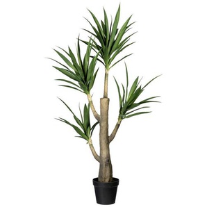 Dracaena , Braun, Grün , Kunststoff , 160 cm , inkl. Topf , Dekoration, Kunstblumen
