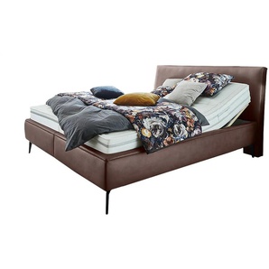 vanDoorn Polsterbett Sempre - braun - Materialmix - 196 cm - 109 cm | Möbel Kraft