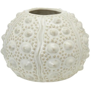 Vase  Seeigel - beige - Porzellan - 9,5 cm - [13.0] | Möbel Kraft