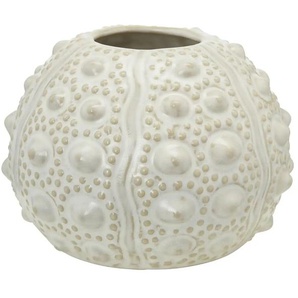 Vase Seeigel - beige - Porzellan - 9,5 cm - 13.0 | Möbel Kraft