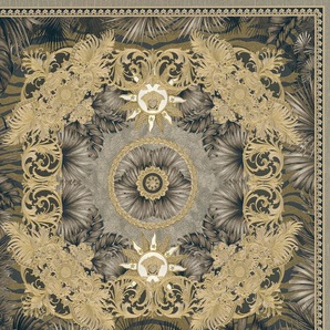 VERSACE Vliestapete Wallpaper Versace 5 Design Tapeten Gr. B/L: 0,7 m x 10,05 m, Rollen: 1 St., braun (braun, goldfarben, silberfarben) Vliestapeten