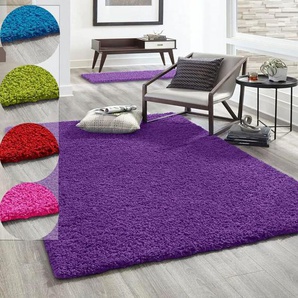 Vimoda - Hochflor Teppich Prime Shaggy Langflor Wohnzimmer Schlafzimmer Rund Farbig,Lila, 200x280 cm
