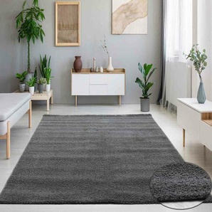Vimoda - Hochflor Teppich Wohnzimmer in Grau Flauschig Microfaser Super Weich,120x170 cm