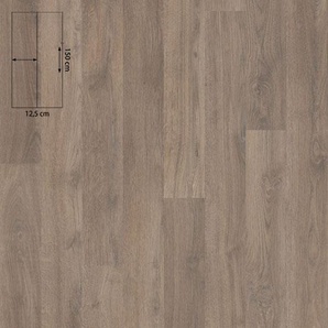 Forbo Eternal Wood - Bahnenware - 11952 steamed oak