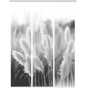 VISION S Schiebevorhang - grau - Synthetik - 60 cm - 260 cm | Möbel Kraft