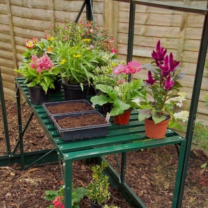 Vitavia Alutisch, 1 Ablage, 121x54x76cm, smaragd 2601214