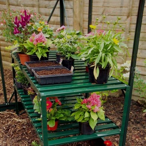 Vitavia Alutisch, 2 Ablagen, 121x54x76cm, smaragd 2601264