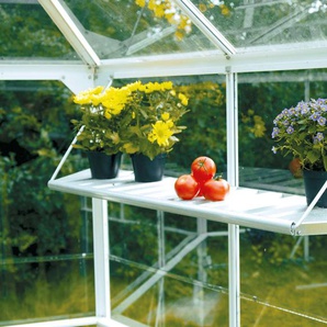Vitavia Regal für Pavillon der Größe 4500, BxTxH: 122x27x29 cm, Aluminium, abklappbar