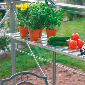 Vitavia Wandregal, Alu, BxT: 120x31 cm