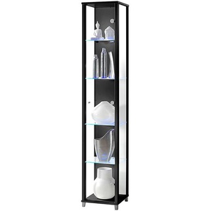 Vitrine I 32 x 172 x 33cm Schwarz