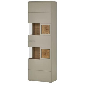 Vitrine Fun Plus | grau | 65 cm | 205 cm | cm 37,0 |