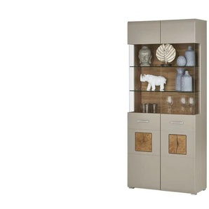 Vitrine Fun Plus | grau | 90 cm | 205 cm | cm 42,0 |