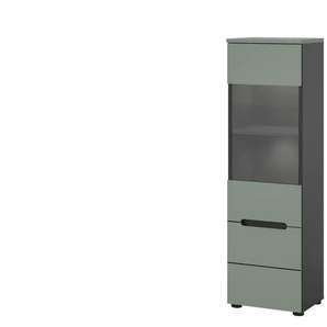 Vitrine   ¦ grau ¦ Maße (cm): B: 36 H: 125