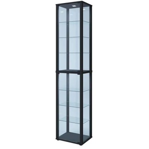 Vitrine | schwarz | 50 cm | 227 cm |