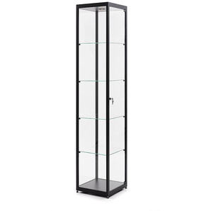 Vitrine sdb Aluminium schwarz eloxiert, 200x40x40 cm