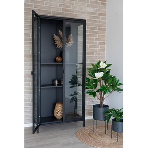 Vitrinenschrank Bagh 80 x 175 x 35cm Schwarz