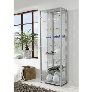 Vitrinenschrank Exhibit IV 58 x 172 x 33cm Grau/Silber