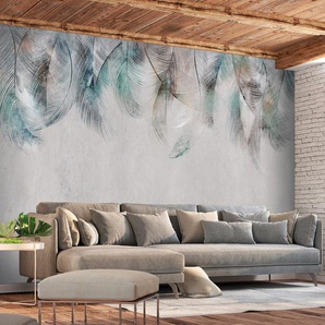 Vlies Fototapete Colourful Feathers 400 x 280cm 400 x 280 cm