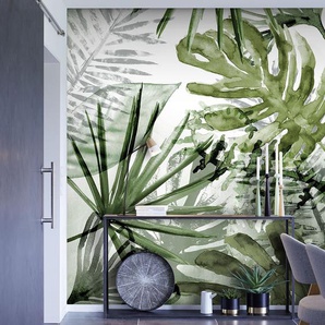 Vlies Fototapete Pure Nature Monstera 200 x 280 x 2cm