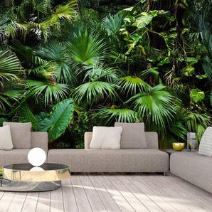 Vlies Fototapete Sunny Jungle 350 x 245cm 350 x 245 cm