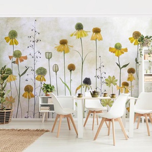 Vliestapete Zarte Helenium Blüten 384 x 255cm 384 x 255 cm
