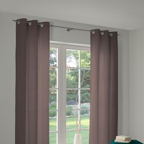 Vorhang ADAM Uni Collection Gardinen Gr. 245 cm, Ösen, 145 cm, braun (dunkelbraun) Ösen nachhaltig