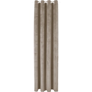 Vorhang BRUNO BANANI Leroy Gardinen Gr. 225 cm, Ösen, 140 cm, grau (taupe) Ösen Samt, blickdicht, monochrom, verschiedene Größen