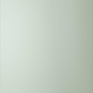 Vorratsschrank FLEX-WELL Cara Schränke Gr. B/H/T: 50 cm x 200 cm x 57,1 cm, 1 St., grün (schilfgrün, artisan eiche) Vorratsschränke (B x H T) 50 200 57 cm, mit viel Stauraum