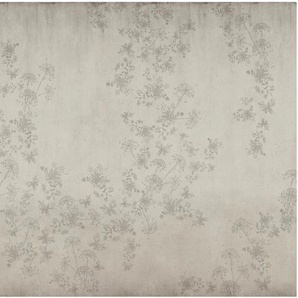 VTWONEN Fototapete Wild Flower Beton Tapeten 280x300 cm Gr. B/L: 3 m x 2,8 m, grau (grau, grün) Fototapeten Blumen