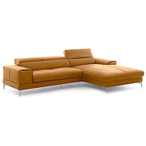 W.SCHILLIG Longchair piedroo plus 21156 (B=303 cm) Leder Z69  (Farbe wählbar) NEU!