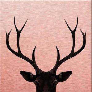 Wall-Art Metallbild Ireland The Black Deer Schwarzer Hirsch, Landschaften, Metallposter modern