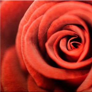 Wall-Art Metallbild Rote Rose, 120/75 cm