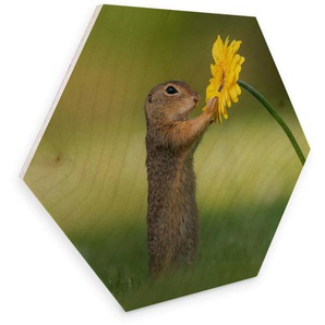 Holzbild WALL-ART Eichhörnchen Blumen Bilder Gr. B/H/T: 55 cm x 1 cm x 47 cm, -, 1 St., bunt (mehrfarbig) Holzbilder