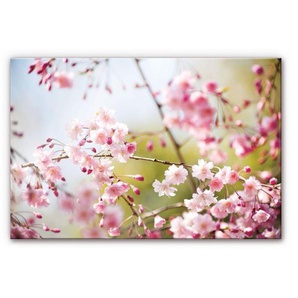 Wall-Art Küchenrückwand Floral Spritzschutz Kirschblüten, (1-tlg), Herd Waschbecken Wandschutz