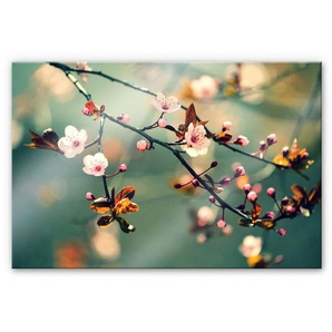 Küchenrückwand WALL-ART Spritzschutz Frühlingserwachen Spritzschutzwände Gr. B/H: 100 cmx70 cm, bunt Küchendekoration