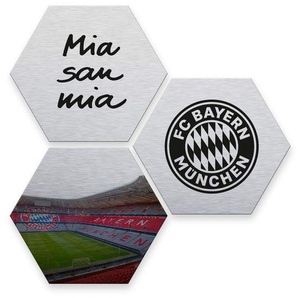 Wall-Art Mehrteilige Bilder Silber FC Bayern München, (Set, 3 St)