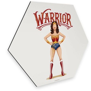 Wall-Art Metallbild Pop Art Wonderwoman Fanartikel, (1 St), Retro Metallschild