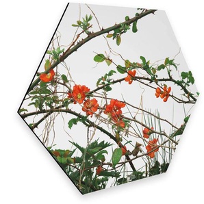 Wall-Art Metallbild Quittenblüte Blumen Wandbild, (1 St), Retro Metallschild