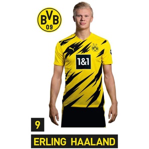 Wandtattoo WALL-ART BVB Haaland Portrait 2020/2021 Wandtattoos Gr. B/H/T: 47 cm x 80 cm x 0,1 cm, bunt (mehrfarbig) Bundesliga-Fanshop