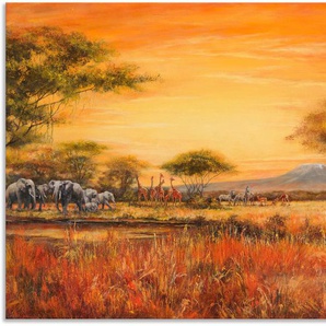 Wandbild ARTLAND Afrikanische Steppe mit Löwen Bilder Gr. B/H: 100 cm x 70 cm, Alu-Dibond-Druck Afrika, 1 St., braun Kunstdrucke
