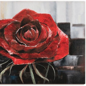 Wandbild ARTLAND Blühende rote Rose Bilder Gr. B/H: 120 cm x 90 cm, Leinwandbild Blumen Querformat, 1 St., rot Kunstdrucke als Leinwandbild, Poster, Wandaufkleber in verschied. Größen